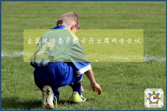 全国政协委员甄子丹出席两会会议